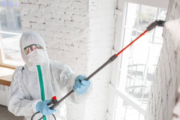 Best Biohazard Mold Removal  in South Woodstock, CT
