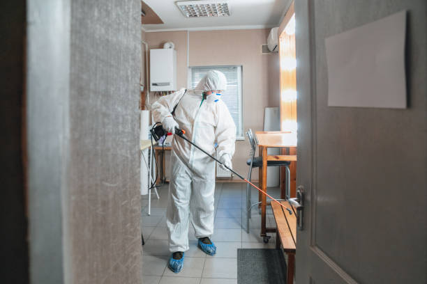 Best Mold Documentation for Insurance Claims  in South Woodstock, CT