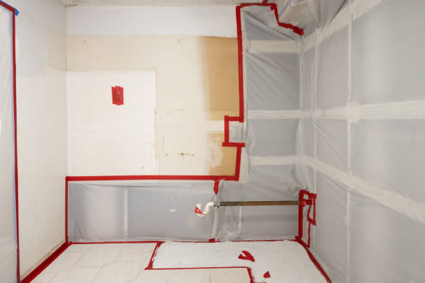 Best Attic Mold Removal  in South Woodstock, CT