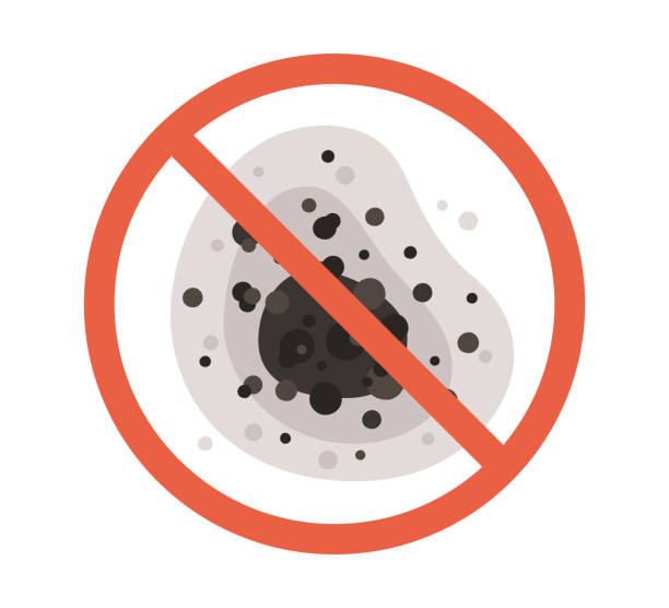 Reliable South Woodstock, CT Mold Removal Solutions