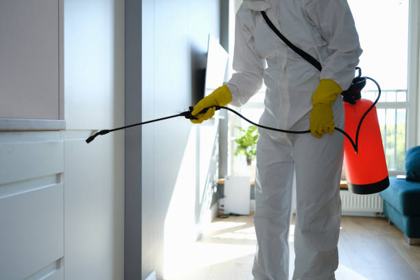 Environmental Consulting for Mold Prevention in South Woodstock, CT