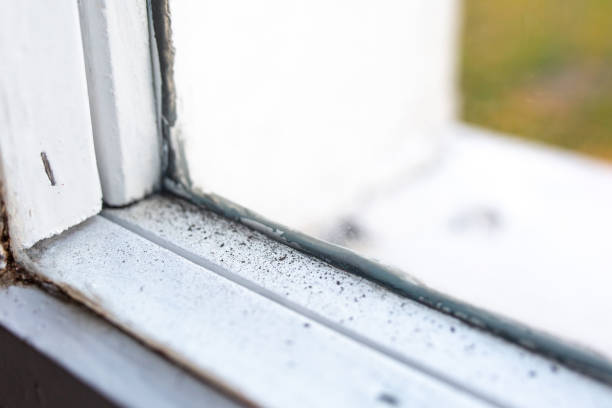 Best Mold Prevention Services  in South Woodstock, CT
