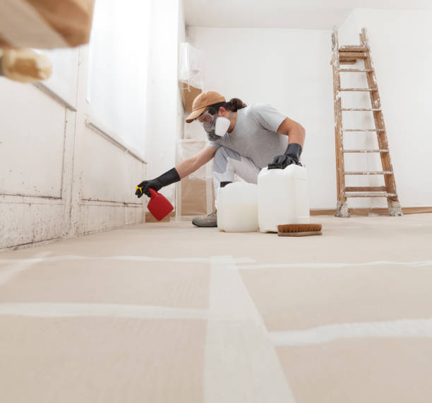 Best Residential Mold Inspection & Testing  in South Woodstock, CT